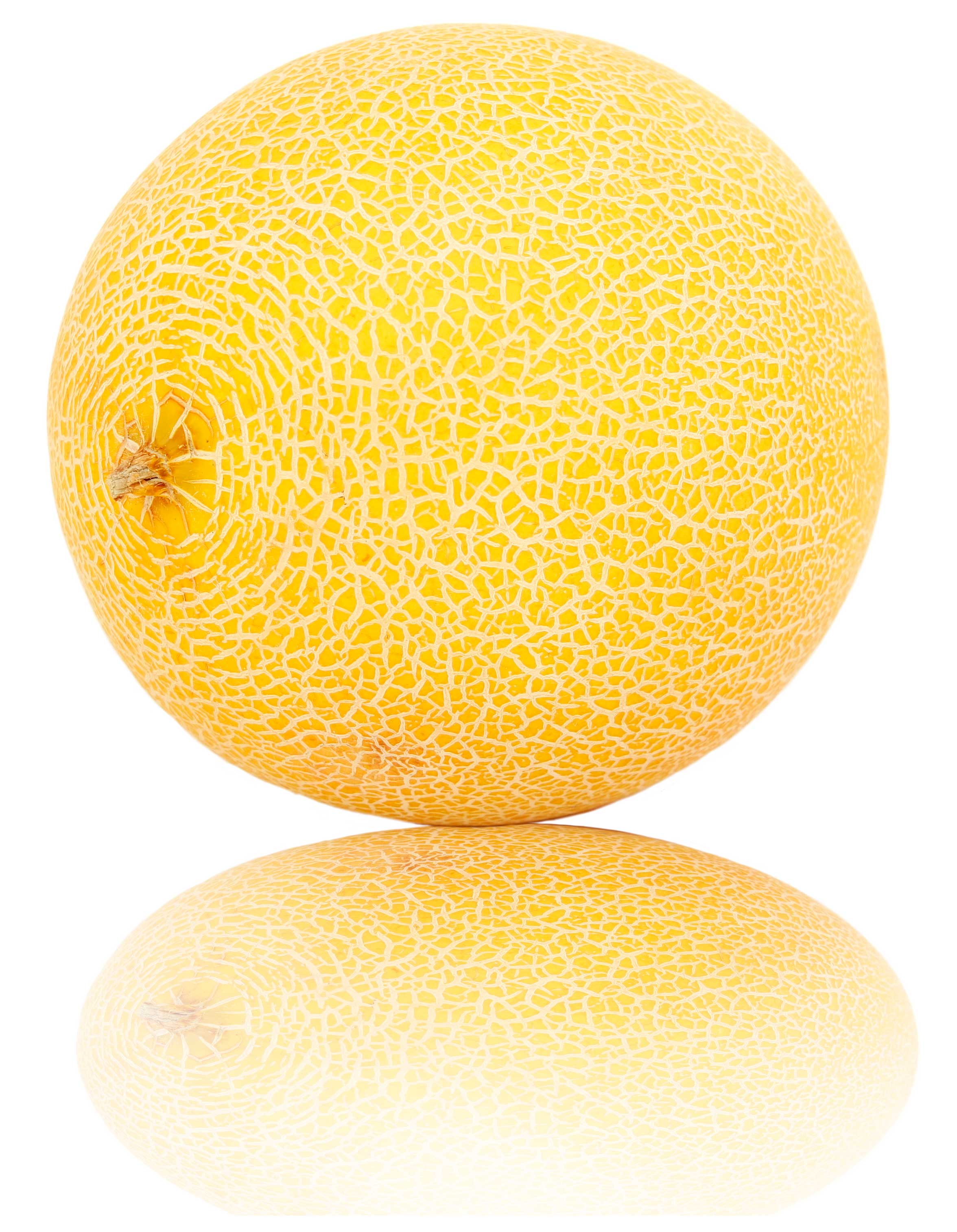 Melón